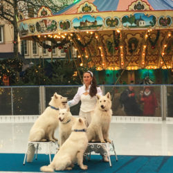 Vier schneeweiße Hunde zu Gast in Heinzels Wintermärchen