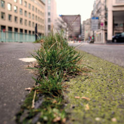 STRASSENLAND im Herzen Kölns