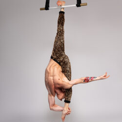 Zum 11. Mal Kölner Weihnachtscircus